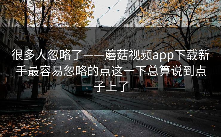很多人忽略了——蘑菇视频app下载新手最容易忽略的点这一下总算说到点子上了